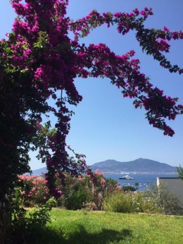 Appart 8 Pers Vue Sur Baie - Porticcio 波尔蒂乔 外观 照片